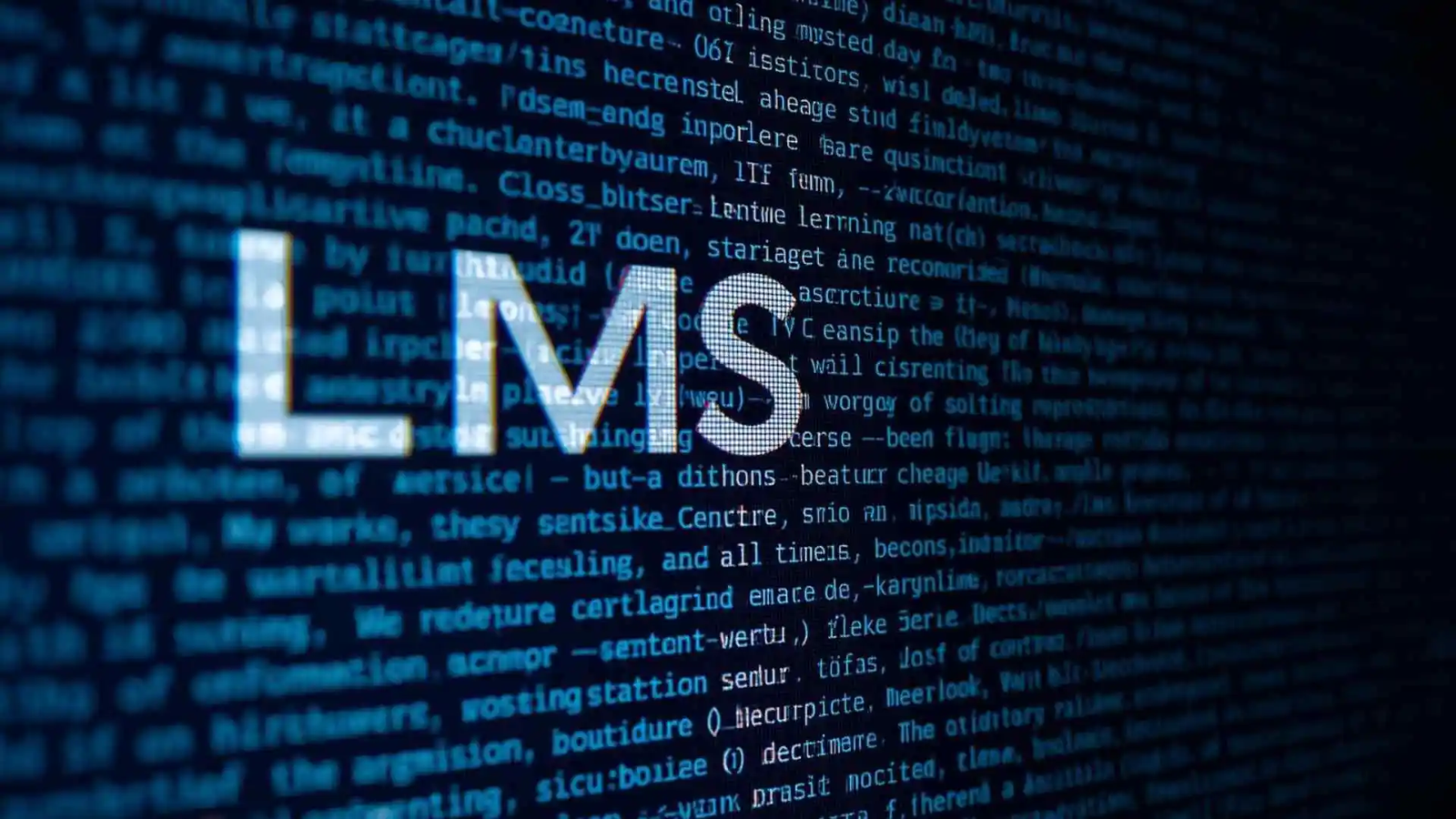 lms meaning text